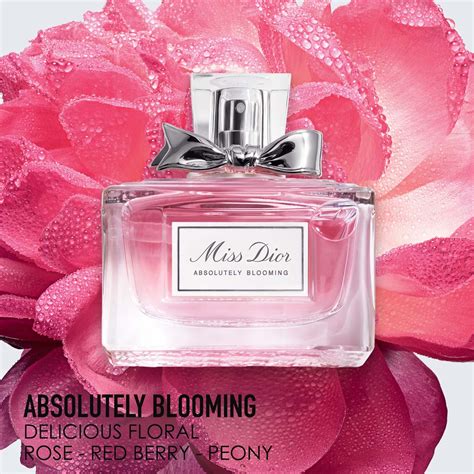 review miss dior absolutely blooming|miss dior absolutely blooming 100ml.